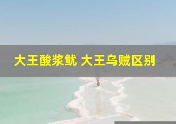 大王酸浆鱿 大王乌贼区别